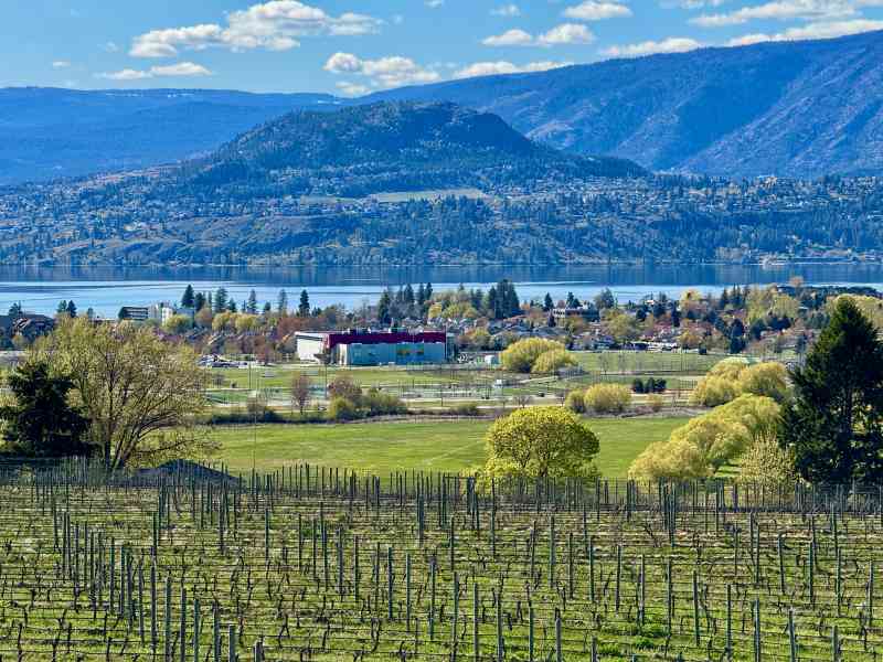 Tantalus Wine Tasting