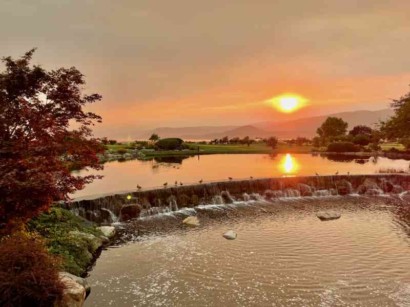 Masa's Grill at The Harvest Golf Club