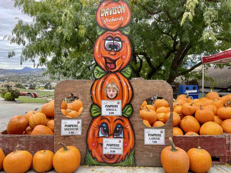 Davison Orchards