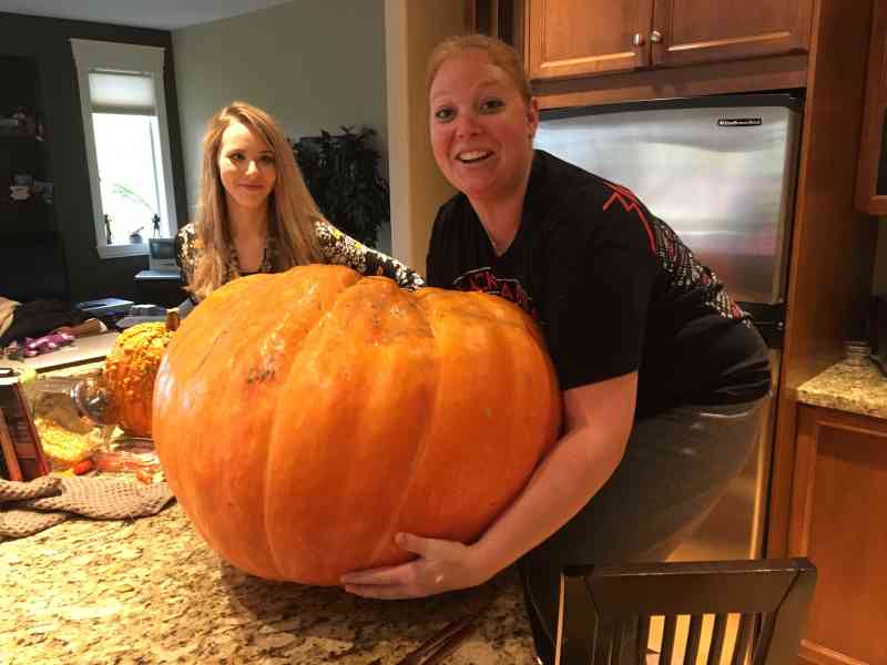 Davison Orchards Vernon