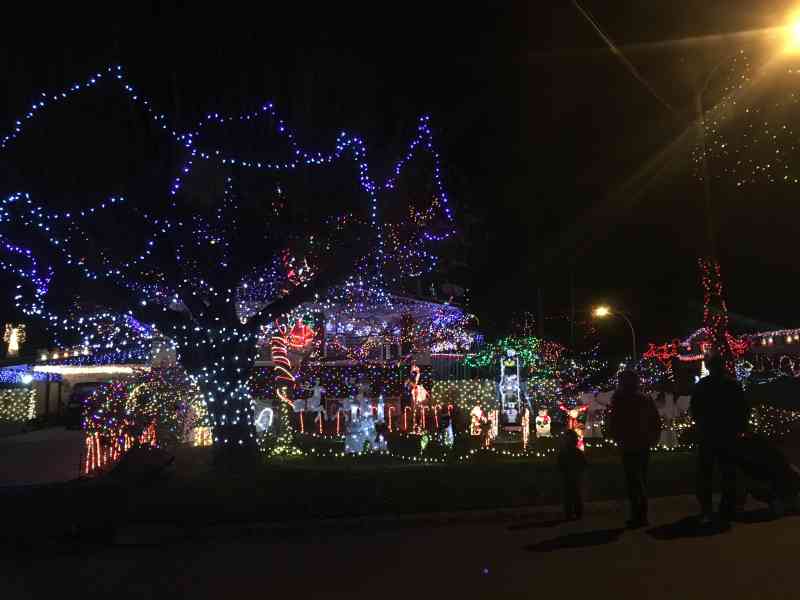 Candy Cane Lane